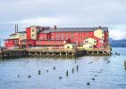 PICTURES/Cannery Pier and Astoria-Megler Bridge/t_cannery pier.jpg